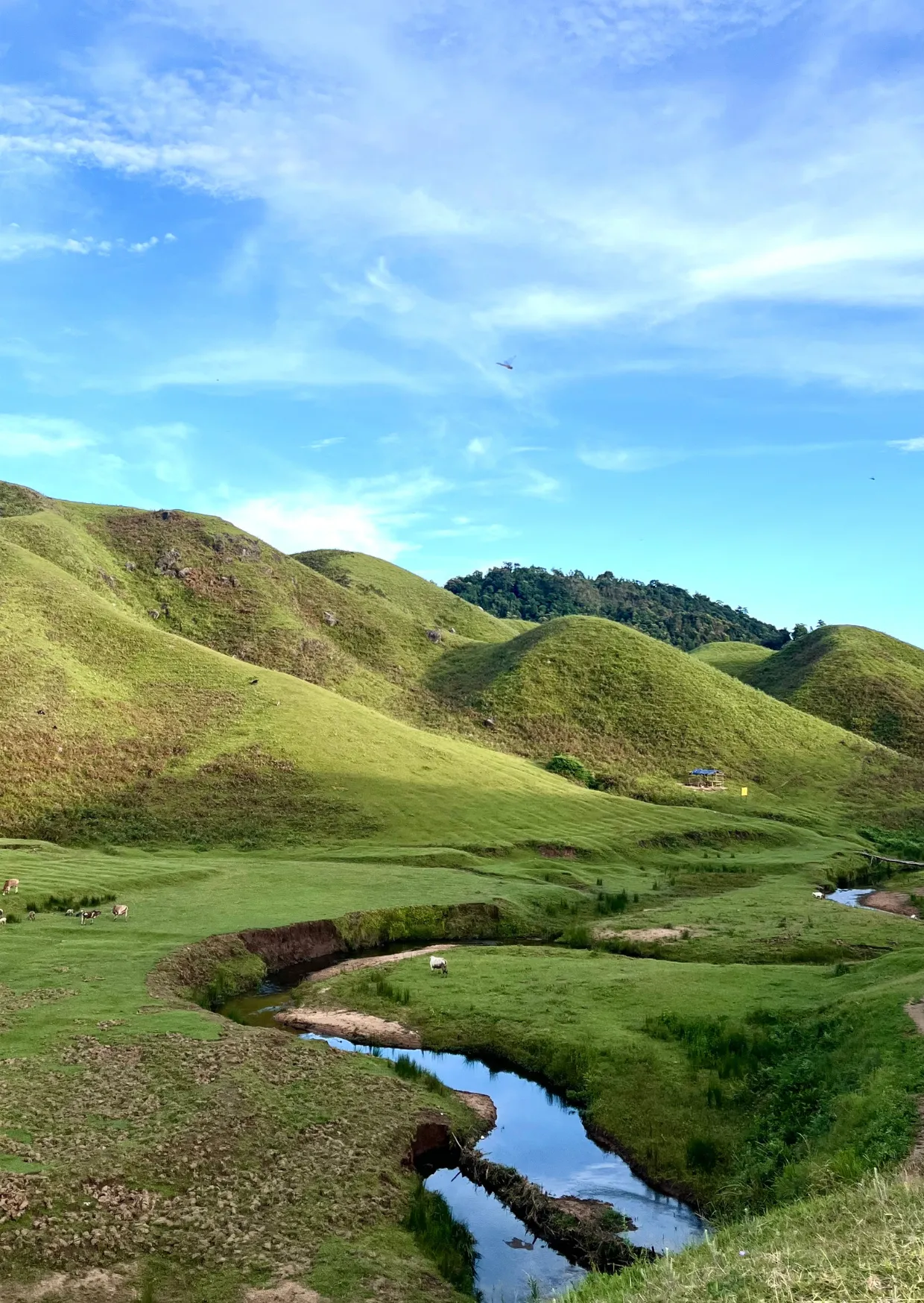 Meghalaya