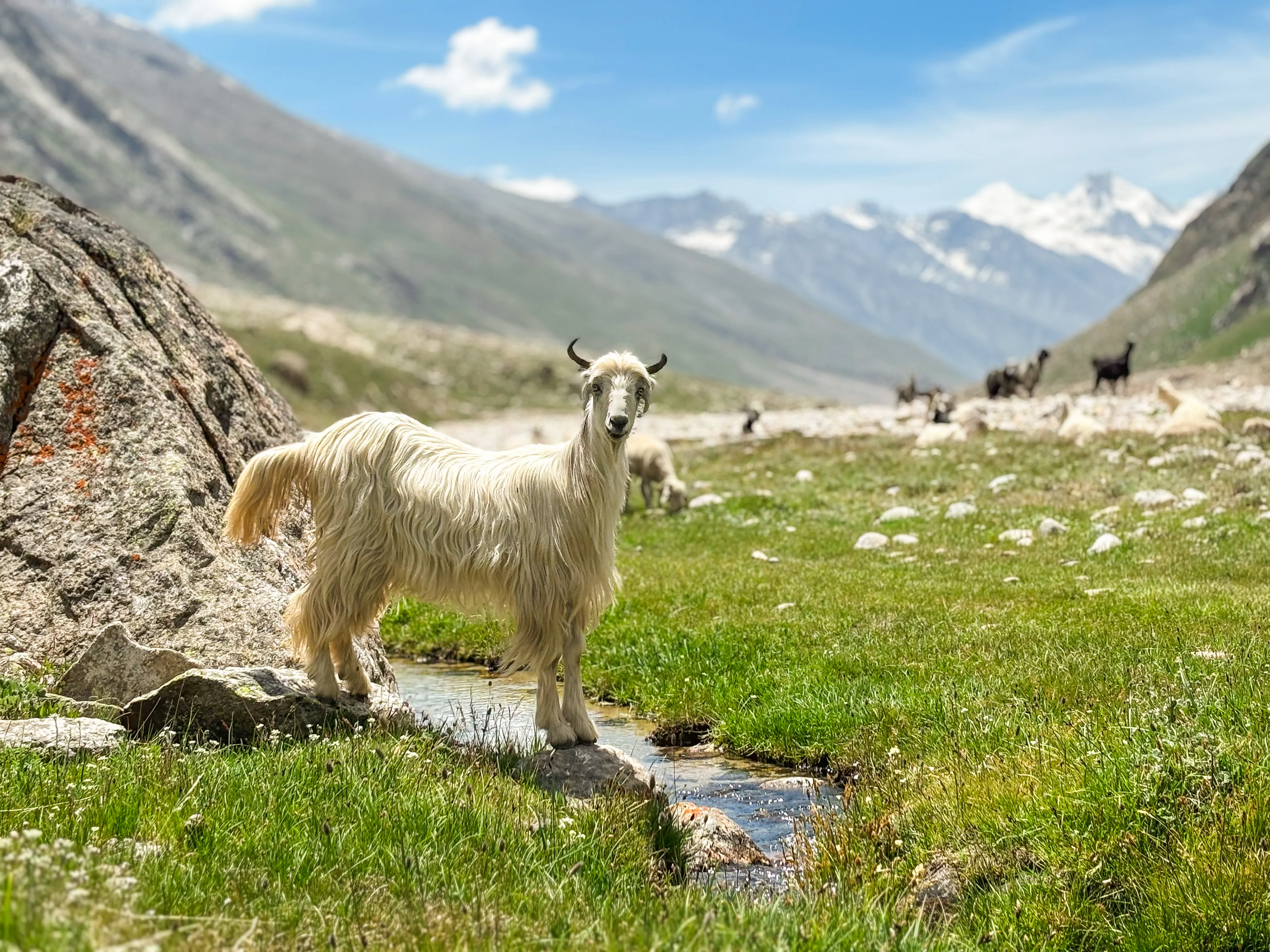 Siddharth's Everest Base Camp 6
