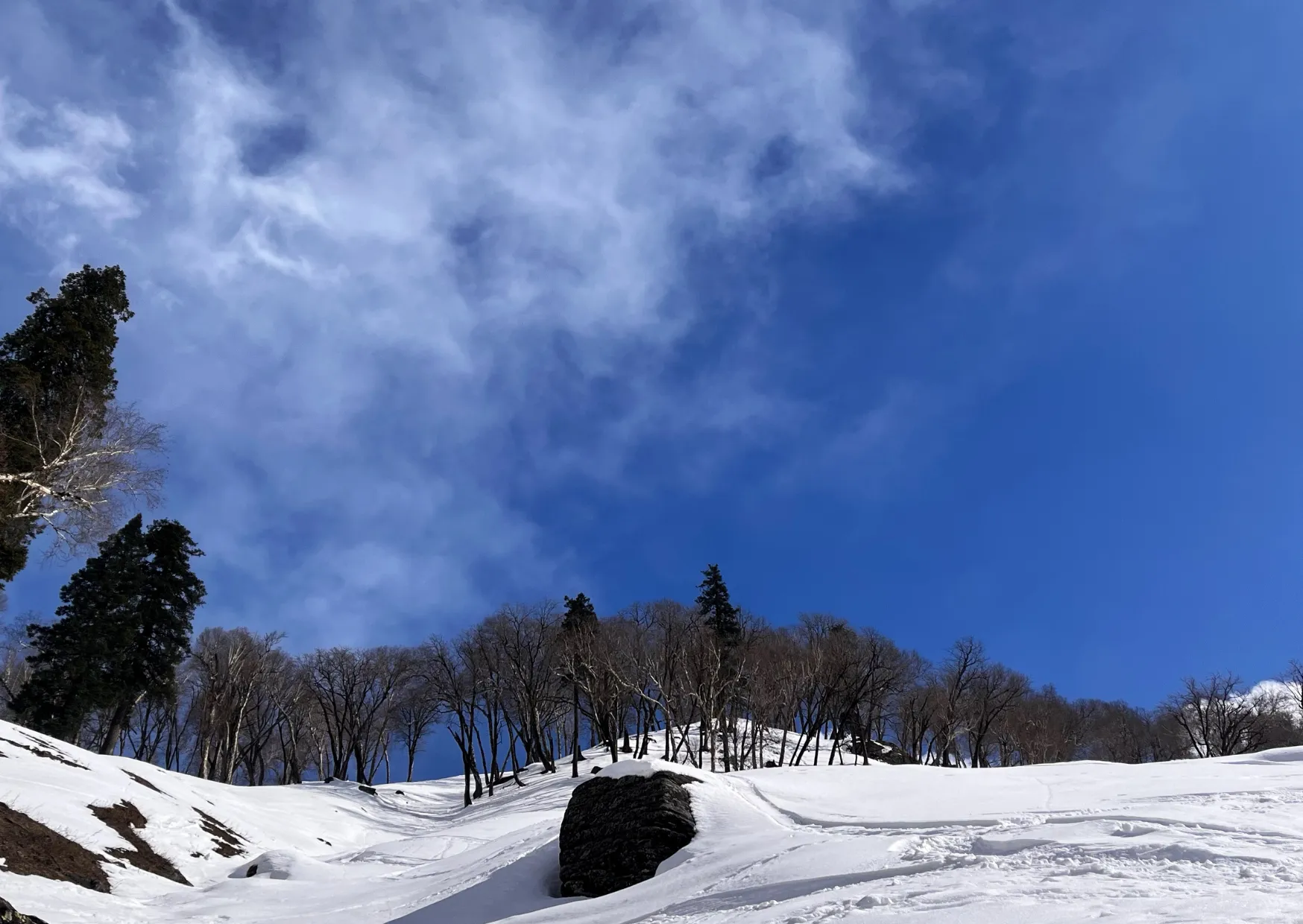 Winter Wonderland 10