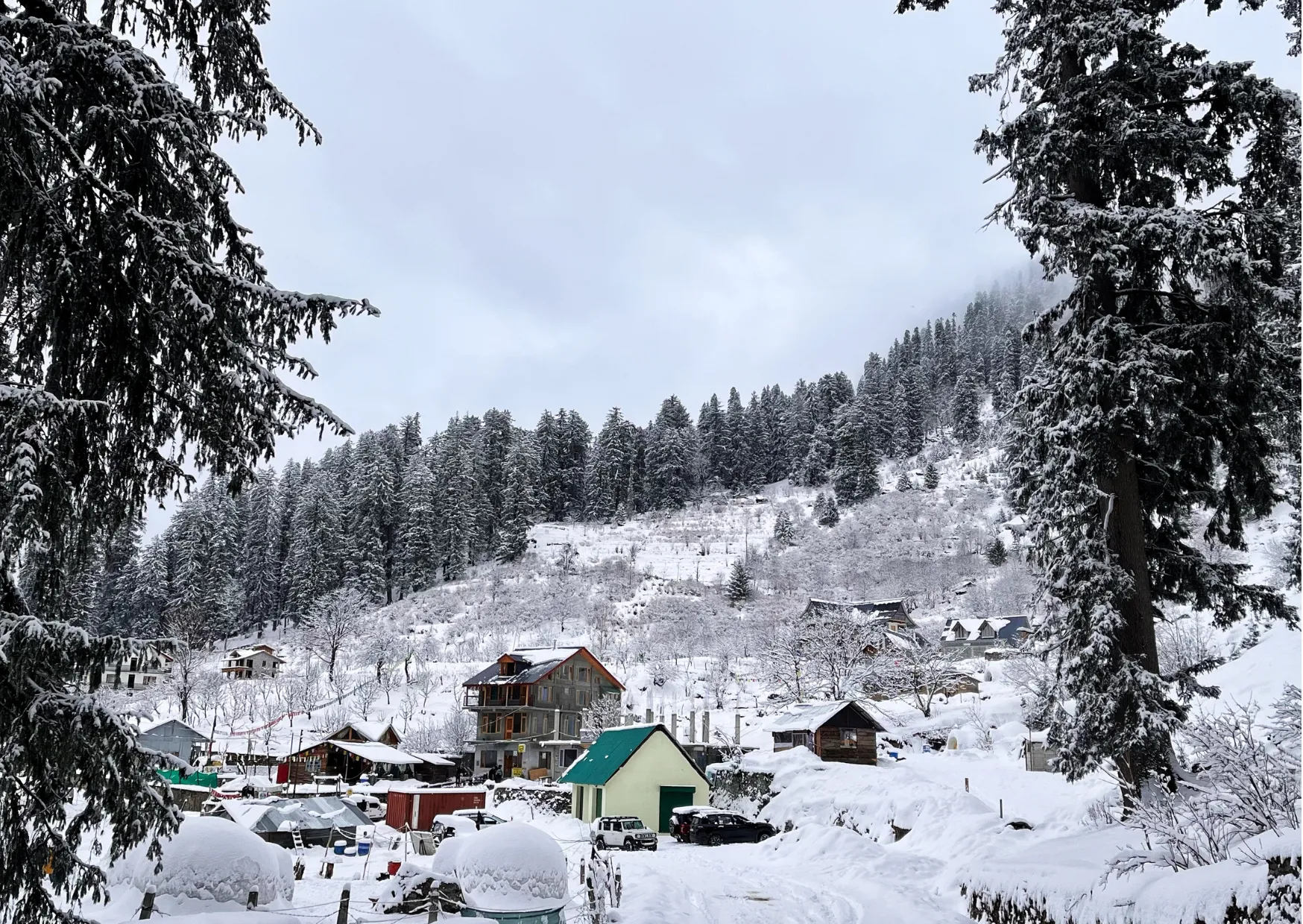 Winter Wonderland 11