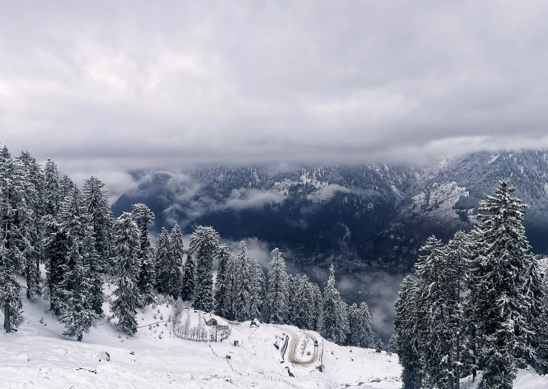 Winter Wonderland 12